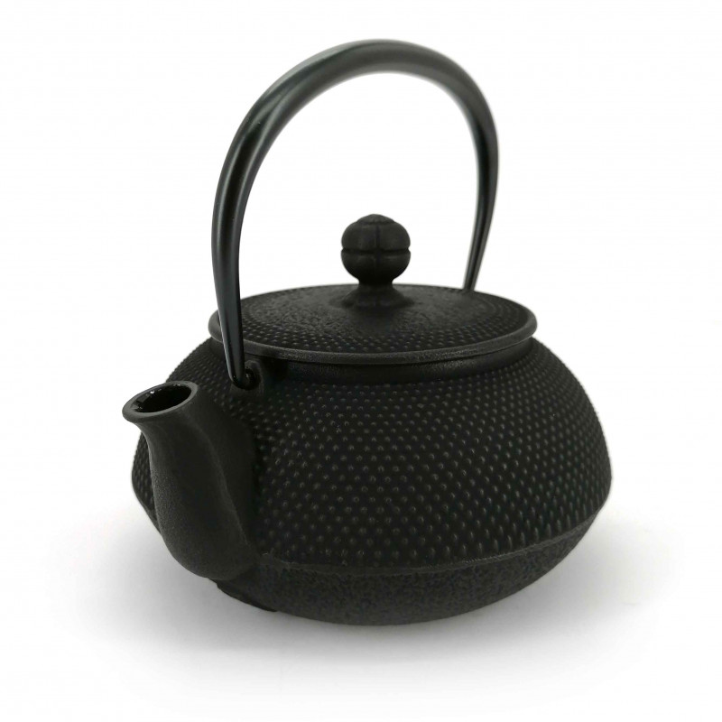 Japanese teapot cast iron, IWACHU ARARE, black