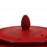 Tetera japonesa de hierro fundido esmaltada roja, ROJI ARARE, 0,9lt