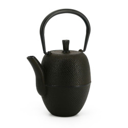 Japanese enameled bronze teapot, ROJI TSUTSUGATA HAKEME ARARE, 0.4lt