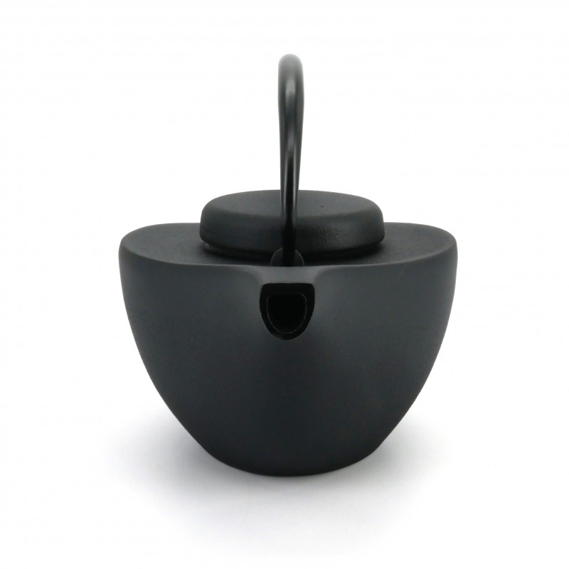 Japanese black cast iron teapot Iwachu, HIKIFUNE 0.7lt