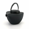 Japanese black cast iron teapot Iwachu, HIKIFUNE 0.7lt