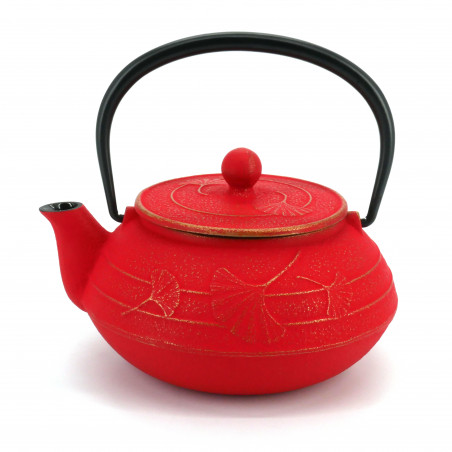 Iwachu Cast Iron Teapot With Dragonfly Pattern in Green