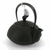 Japanese cast iron teapot - IWACHU HAKEME - 0.65 lt - black