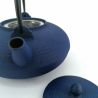 Japanese cast iron teapot - WAZUQU ITOME - 0.7lt - blue