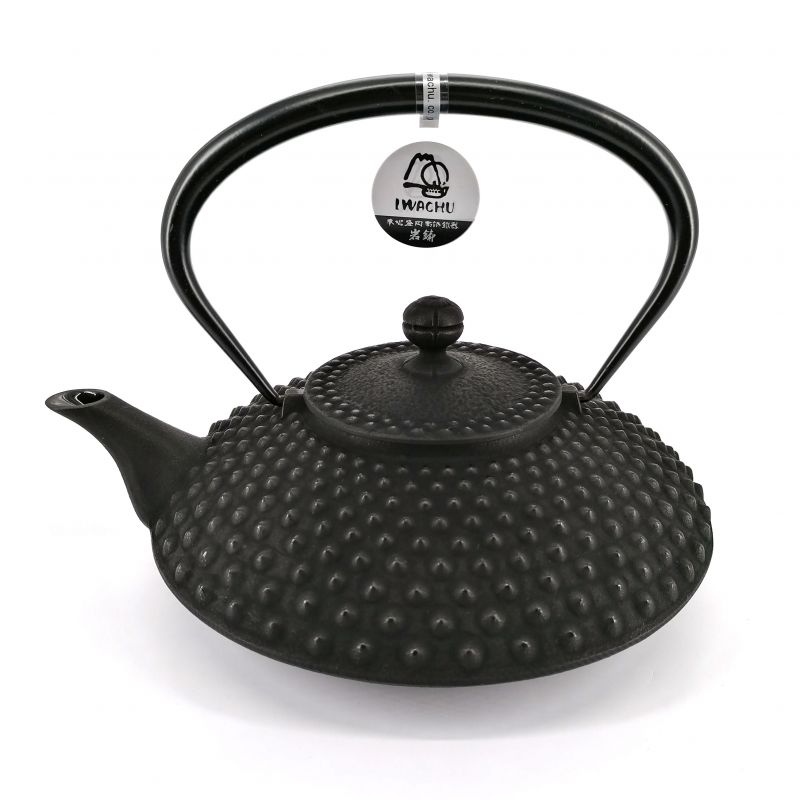 Japanese cast iron teapot - IWACHU HIRA ARARE - 1.3 lt - black