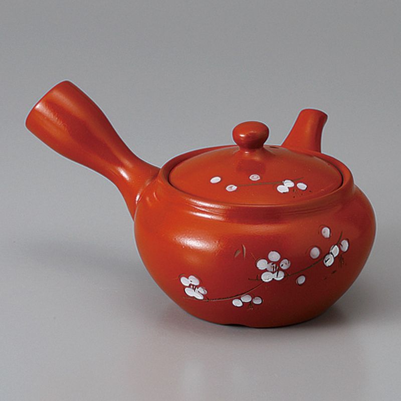 Théière kyusu japonaise en céramique avec filtre intégré et intérieur émaillé, marron - SHIROI SAKURA