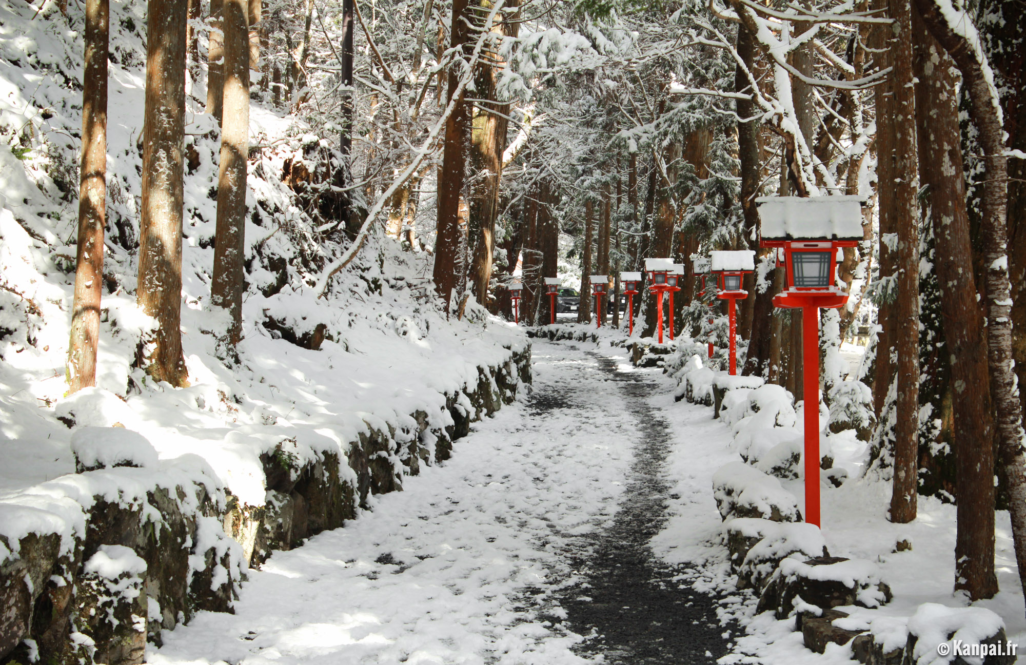 Teiera giapponese piccola in ghisa di prestigio, CHÛSHIN KÔBÔ MARUTAMA,  MOMIJI, 0,4 L